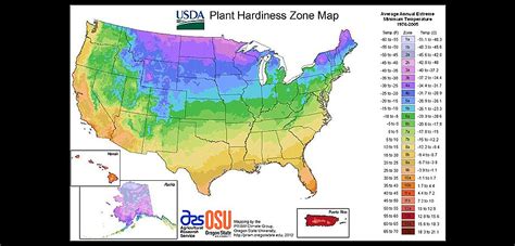 Make the Transition to Fall Plants « Bombay Outdoors