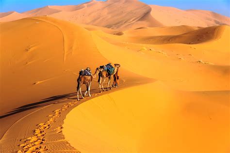 3 Days Desert Tour From Marrakech To Merzouga And Dunes Of Erg Chebbi