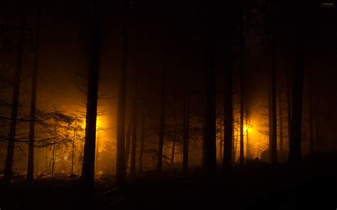 Feel free to send us your own wallpaper and we will consider adding it to appropriate category. Dark Woods HD Backgrounds | PixelsTalk.Net
