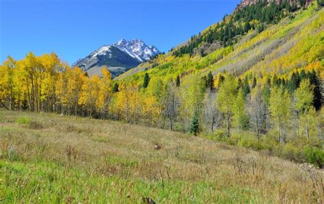 Snow Covered Mountains With Colorful Aspen During Foliage Season Stock