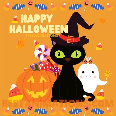 Happy Halloween  Cute Cat Candy