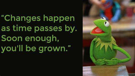 Nasty Kermit Quotes Quotesgram