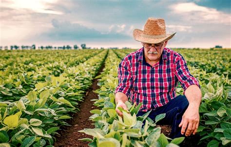 Los jóvenes agricultores reclaman ayudas gubernamentales … diccionario salamanca de la. Agricultor pode fazer consulta online do Programa Garantia ...