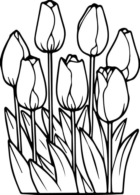 Printable Tulips Flower Coloring Pages K5 Worksheets Flower
