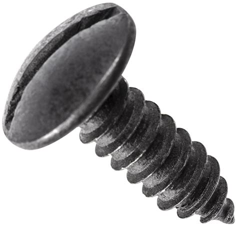 We did not find results for: #14 x 3/4" Pan Head Black License Plate Screws (Box of 100)