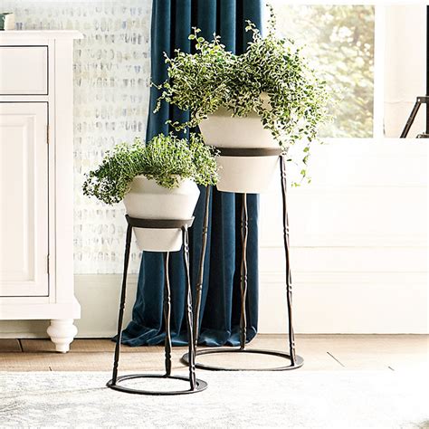 Arden Large Indoor Planter with Stand | Large indoor planters, Indoor