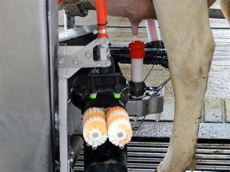 Automatic Milking Systems The Good The Bad And The Unknown