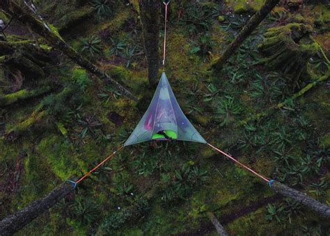 Our Tentsile Tribe Is Growing By The Day 7 Years Ago When We Were