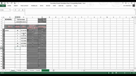 Using The Excel Sheet To Calculate Ages And Sex Tables Youtube