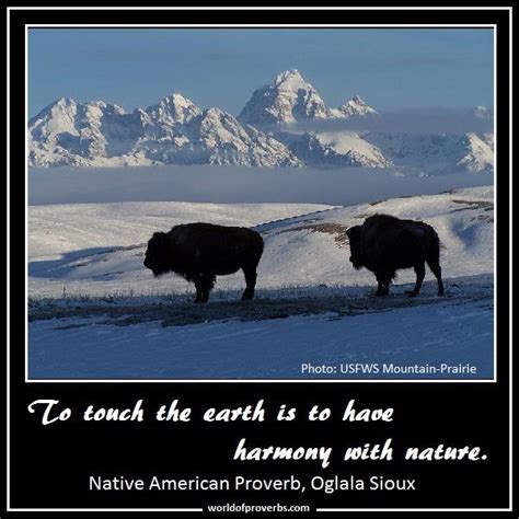 These famous inspiring quotes are also known as native american indian sayings or indian proverbs. World of Proverbs - Famous Quotes: To touch the earth is ...
