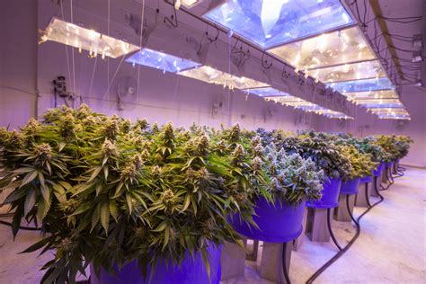 When he isn't writing, he's usually scouring the news or reading up on the latest in the crypto world. Two Rivers Water & Farming Company (OTCQB: TURV) Gains 10 ...