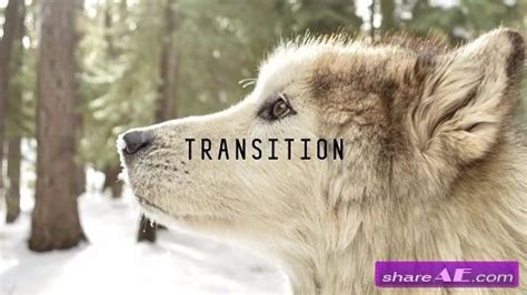 All from our global community of videographers and motion graphics designers. Wolf » free after effects templates | after effects intro ...