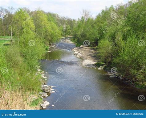 River In Spring Forest Stock Image Image Of Plants Grow 53566575