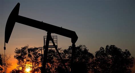 En haití se declaró oficialmente al día de la tierra como un festivo nacional. GRAIN | Impactos de la explotación petrolera en América Latina