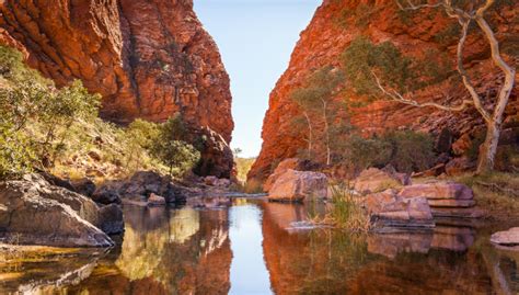 We are glad that you found the experience educational. Road Trip: Alice Springs to Darwin | WYZA