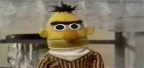 My favorite sesame street characters when i was a kid. Does anyone have that Bert making a cringe face pic on ...