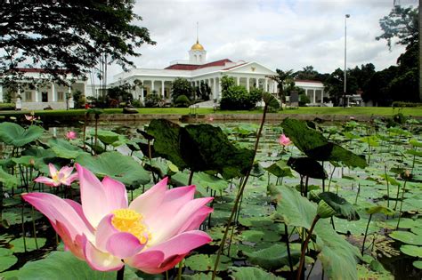 One Day Trip Ke Bogor Kebun Raya Bogor Uncle Seronok