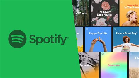 28 Of The Best Spotify Playlists In 2024 Audiohype