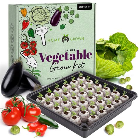 Buy Vegetable Garden Starter Kit – 250+ Vegetable with Germination Seed