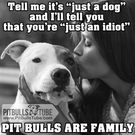 Pin By Deirdre Carroll On Animals Pitbull Quotes Pitbulls Pitbull Lover