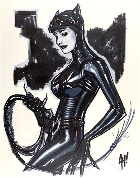 Pin By Raul Vasquez On Dc Catwoman Comic Adam Hughes Catwoman