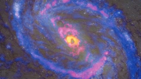 Active Black Holes Alter Their Galaxies Chemical Distribution