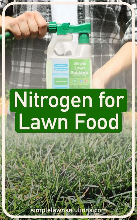 Call green lawn fertilizing to schedule your. Pin on Simple Lawn Solutions Lawn Care Blog