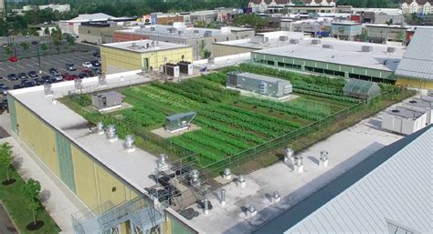 Green City Growers Urban Farming Rooftop Farms