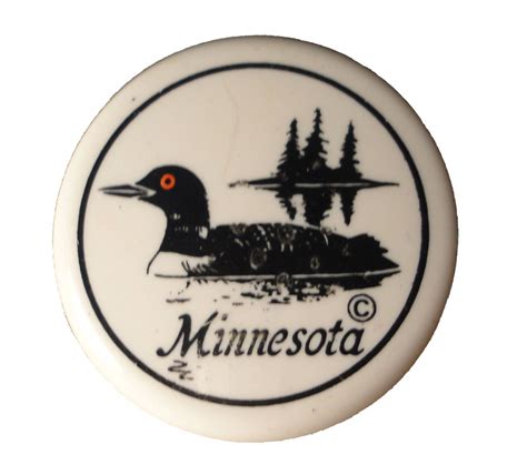 Minnesota State Vintage Enamel Pin Lapel Badge Mn Grand Rapids Etsy