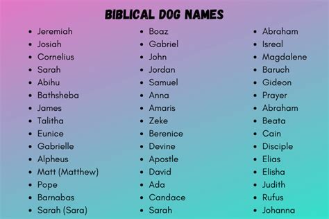 Biblical Dog Names 250 Unique Biblical Dog Names Ideas 2024