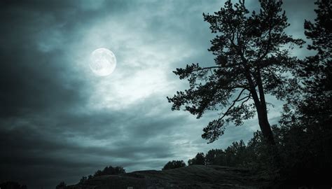As many people don't have the time to have a look and to get to understand others, he will often feel rejected or. Is the Moon Visible All of the Time? | Sciencing