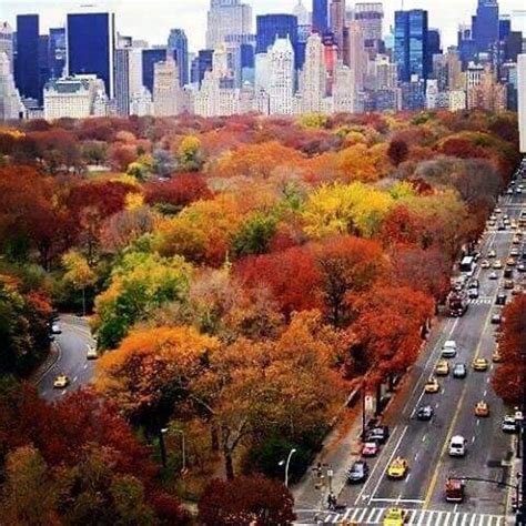 Outono Em Nova York Nova York