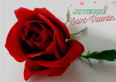 Carte Saint Valentin Les Plus Jolies Cartes Damour Message Damour