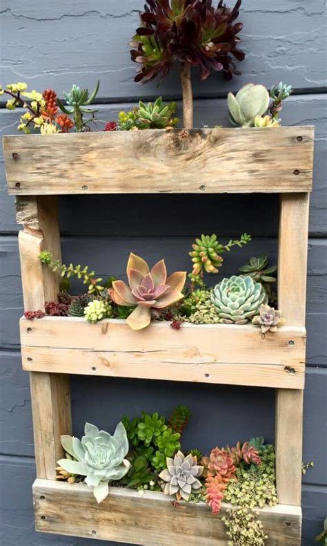 Story buy a preassembled frame. Wood Pallet re-cycled w/succulent | Succulents diy, Diy ...