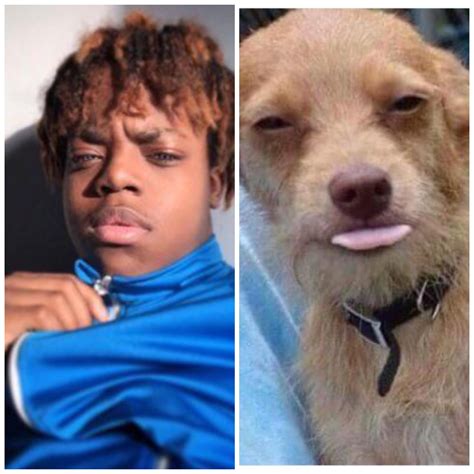 If lightskin reubz had a dog 🤣 : r/reubz4k