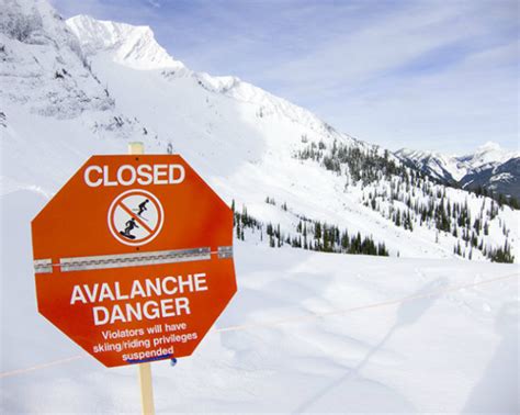Countable noun avalanche an avalanche is a large mass of snow that falls down the side of a mountain. Court Rules Inbounds Avalanches are Inherent Risk of ...
