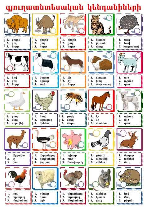 Farm Animals - Animaux de la ferme - Interactive worksheet | School