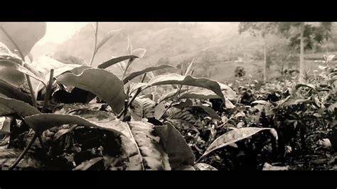Gambar animasi pemandangan alam hitam putih. Film cinematic alam//Hitam putih - YouTube