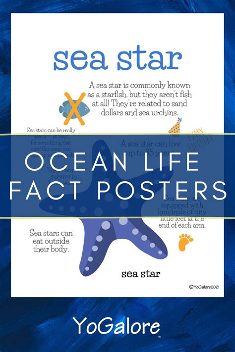 Ocean Fact Posters For Children Not Just The Facts Yogalore And