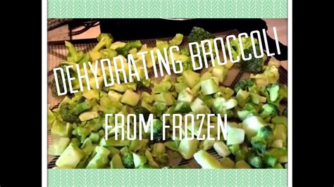 Shop for frozen steamable broccoli florets at aldi. Dehydrating Frozen Broccoli - YouTube