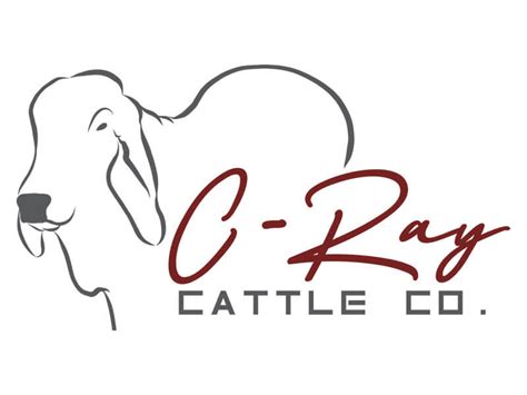 Brahman cattle british white cattle beef cattle logo ox, bull, antler, animals png. Brahman Cattle Logo : Indian National Congress Brahman ...