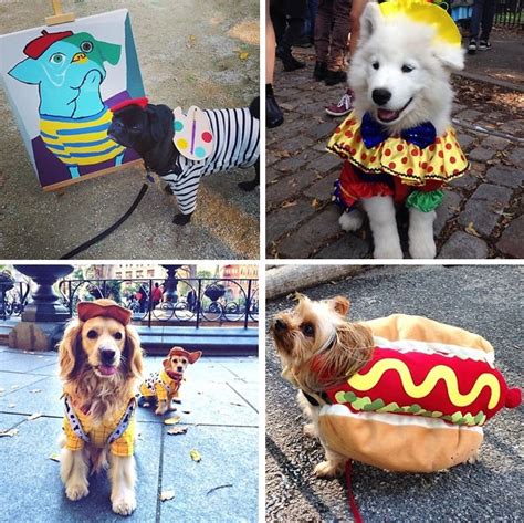Canine Costumes Our Favorite Pups From The 24th Annual Tompkins Square