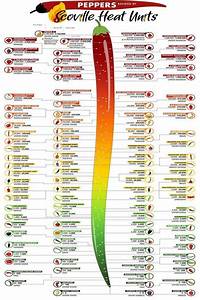 Scoville Heat Units Pepper Chart Laminated 24x36 Poster Etsy 