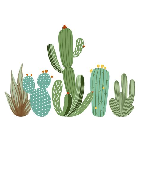 Last updated on wed, 06 jan 2021 | world of succulents. Makeup and Age (With images) | Cactus illustration, Cactus ...