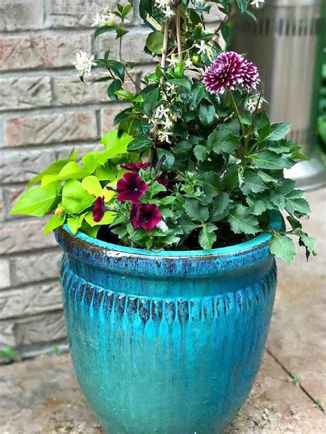 Flower Pot Planting Ideas8
