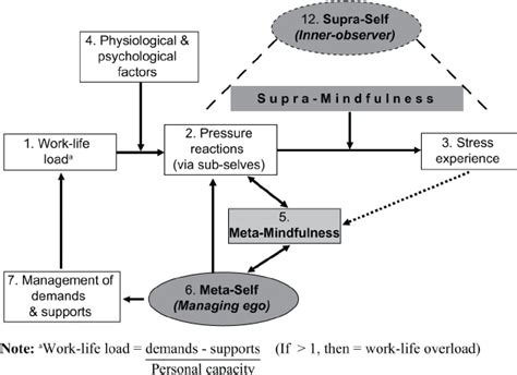 model of the dynamics of mindfulness in stress reduction download scientific diagram