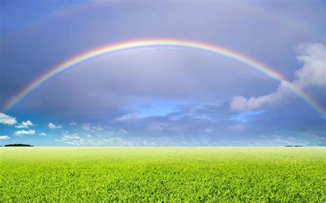 Rainbow Dream Meaning Get Your Dream Interpretation Now