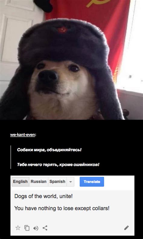 Comrade Doggo Know Your Meme