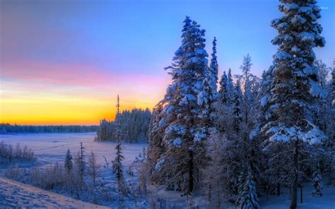 Sunset Over The Snowy Forest 2 Wallpaper Nature Wallpapers 36187