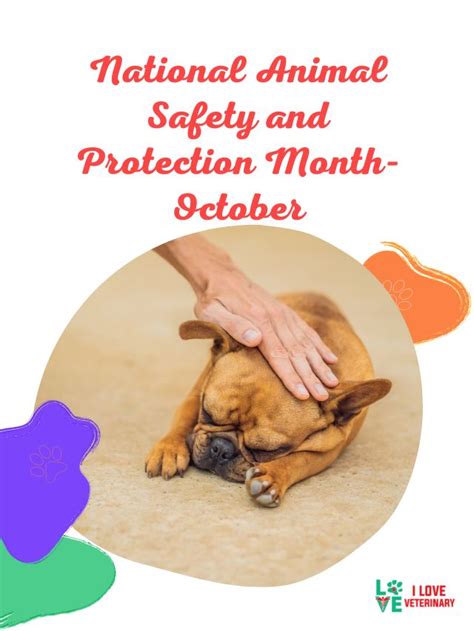 National Animal Safety And Protection Month October I Love
